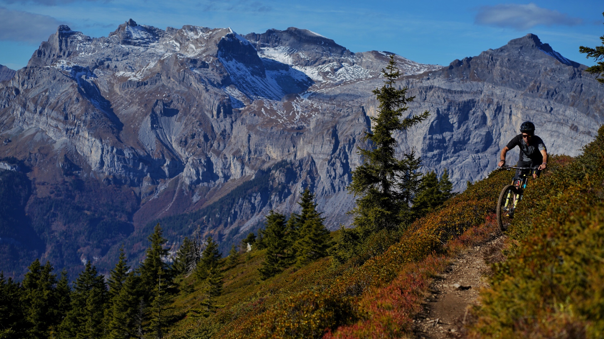 Singletrack d'automne dans les Alpes